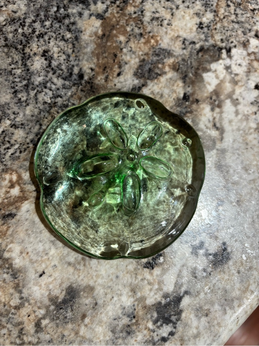 Green Glass Decorative Sand Dollar paper weight